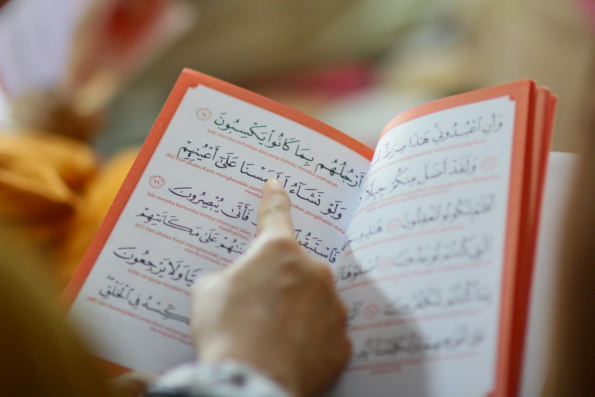 Close-up of a person reading an Arabic text, highlighting cultural education and learning.